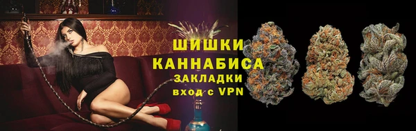 PSILOCYBIN Балабаново